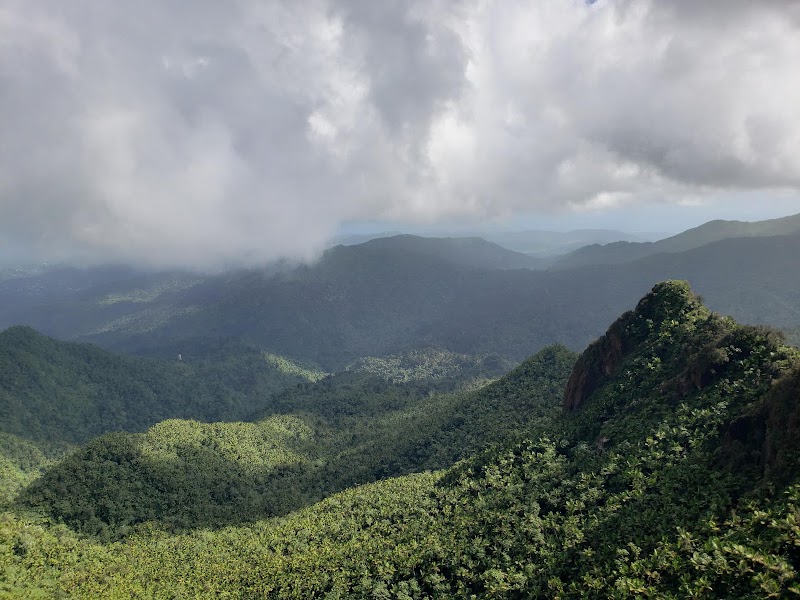 El Yunque National Forest