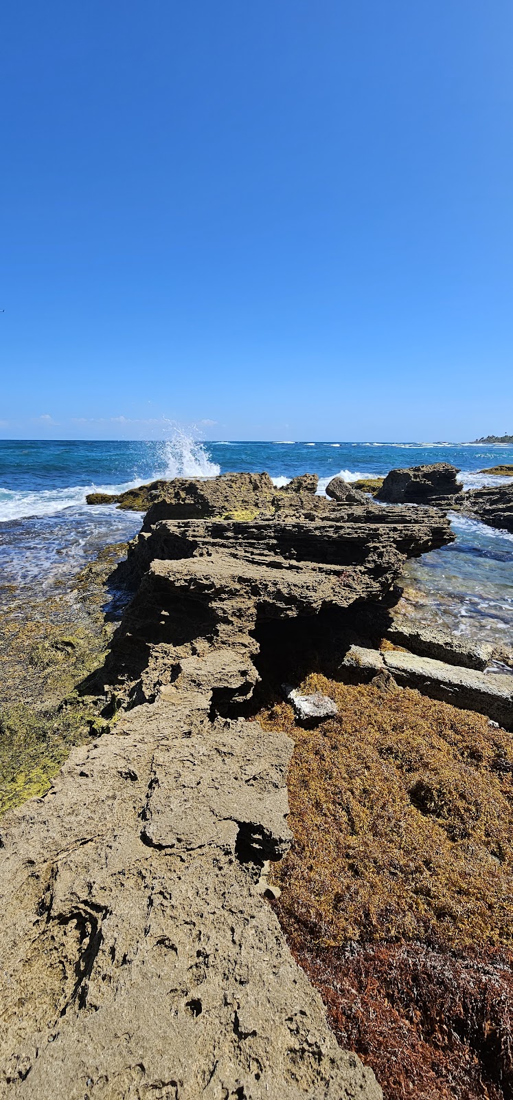 Paseo Piñones