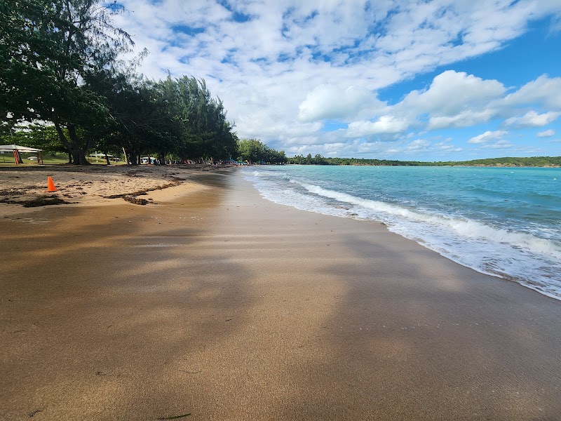 Seven Seas Beach
