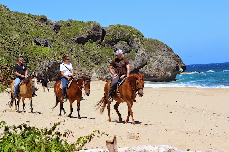 Tropical Trail Rides