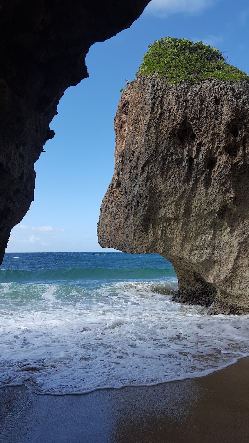 Survival Beach