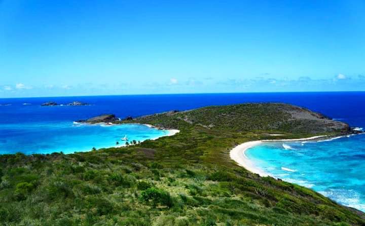 Culebrita