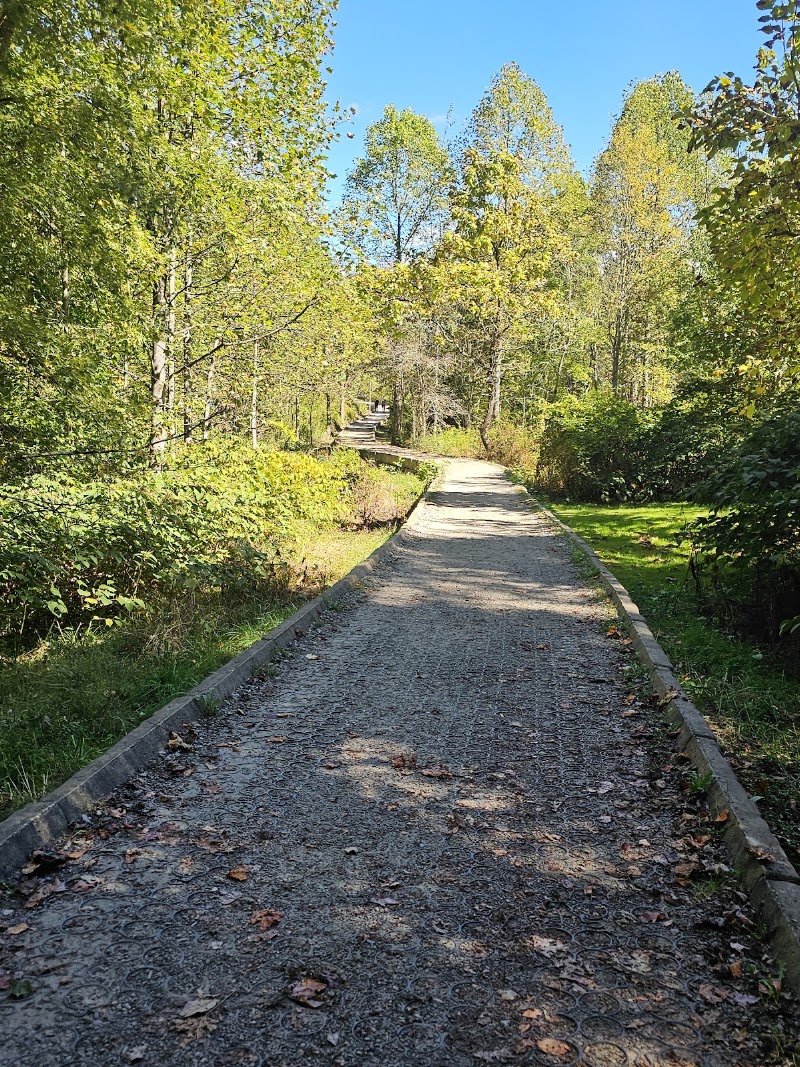 Long Point Trail