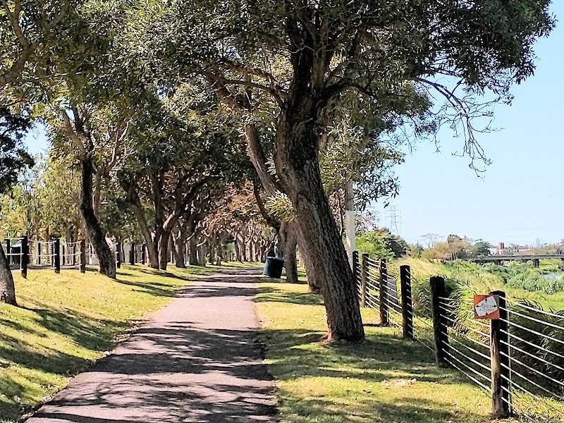 Bayamón River Trail