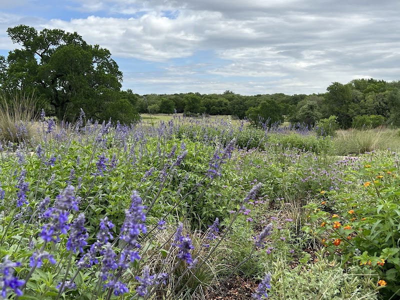 Lady Bird Johnson Wildflower Center
